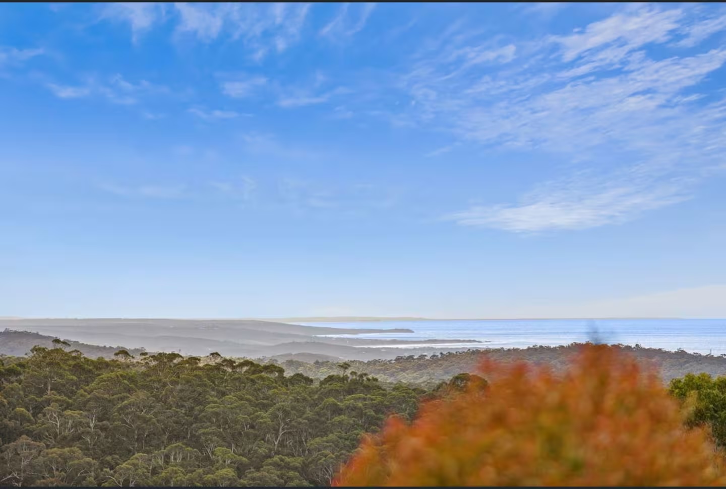 Lorne Treehouse Retreat